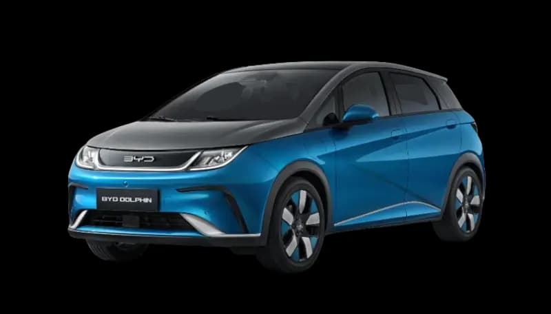Dolphin Plus EV