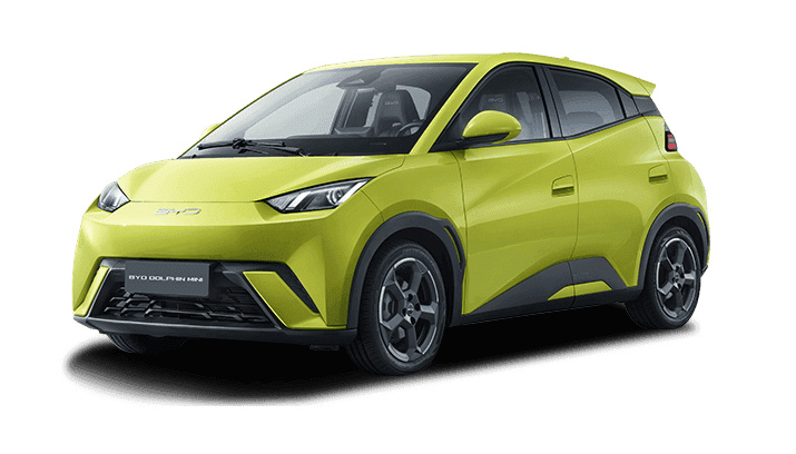 Dolphin Mini EV